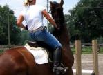 Kontrola emocji i ciała a komunikacja w jeździectwie