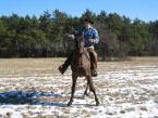 Natural Horsemanship - Jeździectwo Naturalne - Koński punkt widzenia część 2