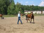 NATURAL HORSEMANSHIP - JEŹDZIECTWO NATURALNE odc. VI - Lonżowanie