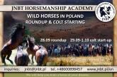 Wild Horses Roundup and Wild Colts Start Up adventure