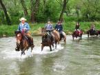 Level 2 in Sanok - going through Sanok river