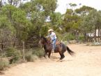 Discovering Australian Horsemanship