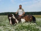 NATURAL HORSEMANSHIP - JEŻDZIECTWO NATURALNE odc. XIII: Po prostu Jeździectwo Mądre