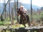 Level 2 in Bieszczady mountain - exciting!