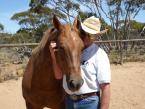 Brumbies-Australian wild horses